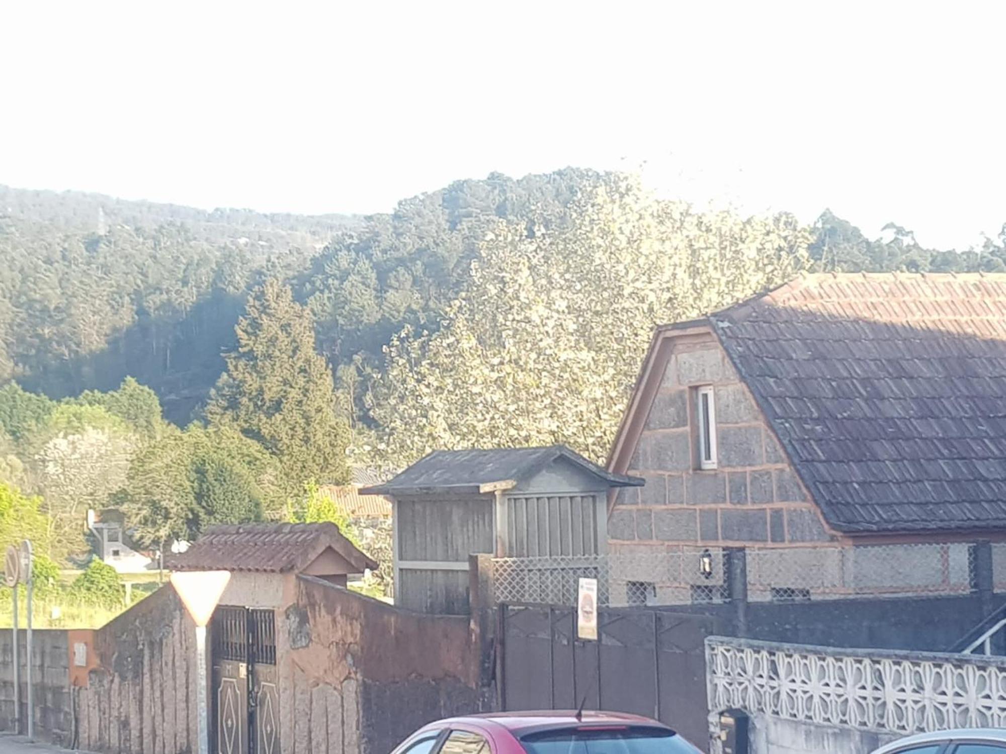 Porriño Casa La Porrinesa 빌라 외부 사진